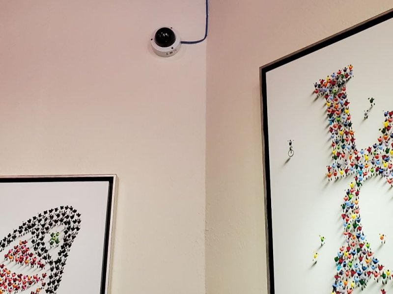 Dome Camera Art Gallery