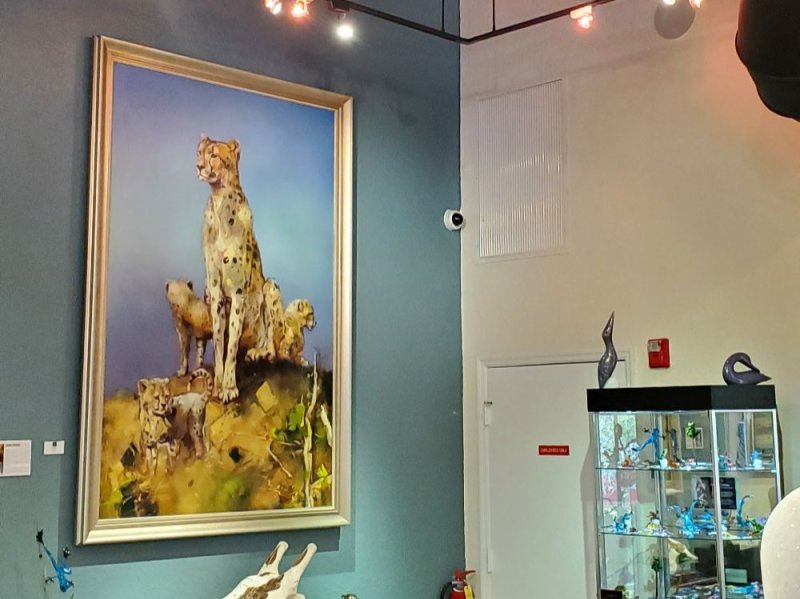 IP Camera Art Gallery